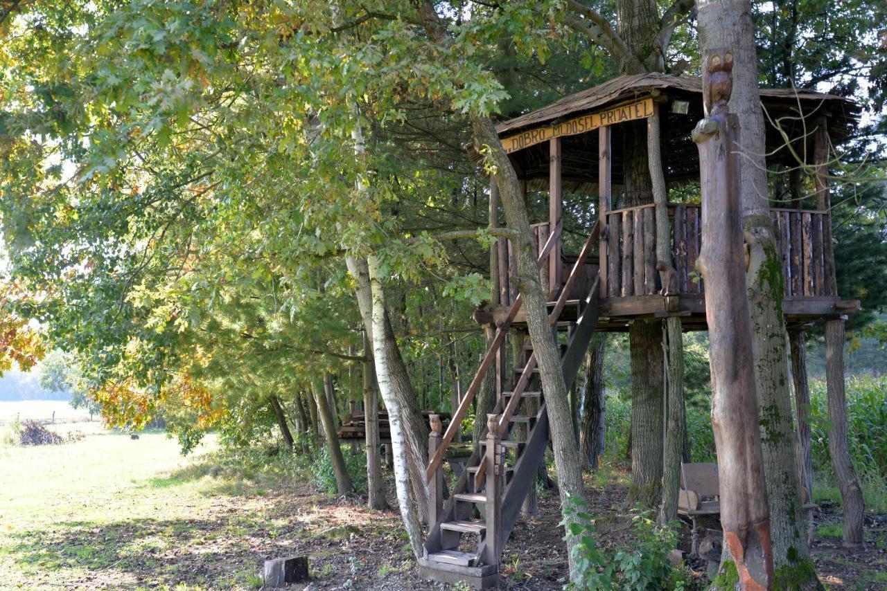 Old Oak House With Pool Villa Marusevec Eksteriør bilde