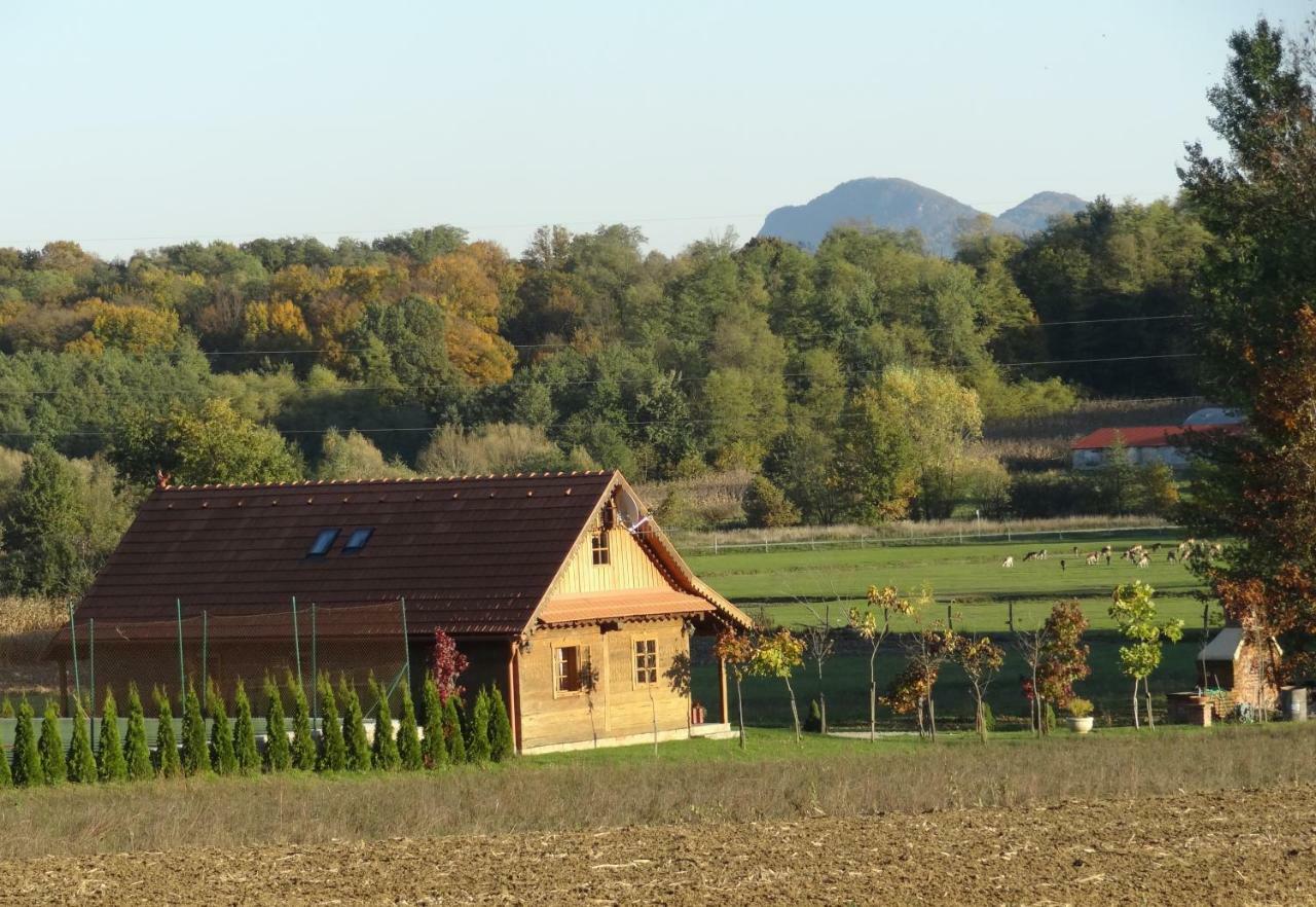 Old Oak House With Pool Villa Marusevec Eksteriør bilde