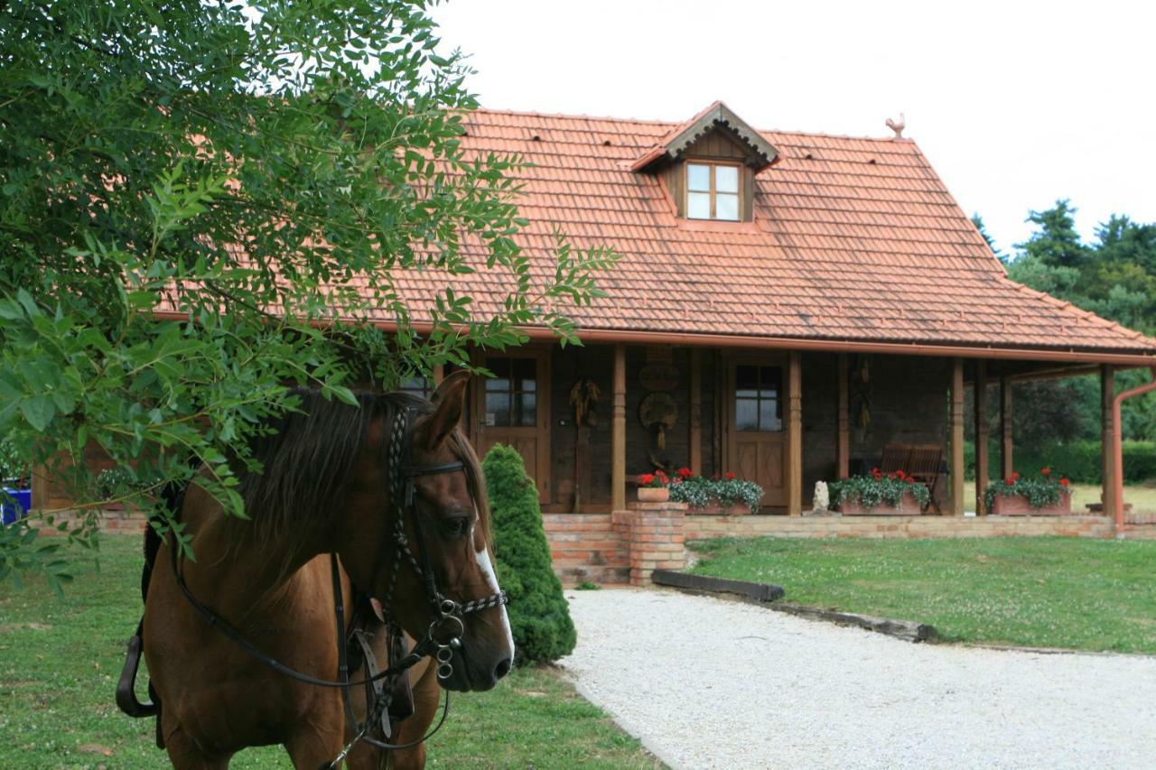 Old Oak House With Pool Villa Marusevec Eksteriør bilde